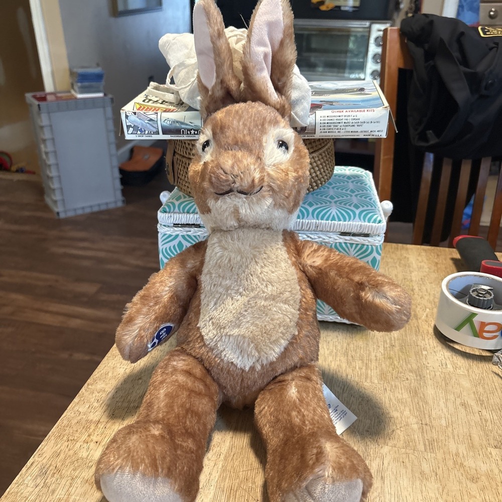 Build-A-Bear Peter Rabbit Beatrix Potter 2024 Brown Plush Stuffed Animal 20in